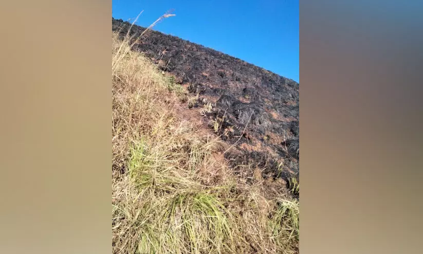 പിലാക്കാവ് കമ്പമലയിൽ വൻ തീപിടിത്തം