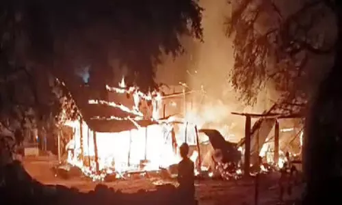 തൊ​ഴു​ത്ത് ക​ത്തി കാ​ലി​ക​ൾ ച​ത്തു