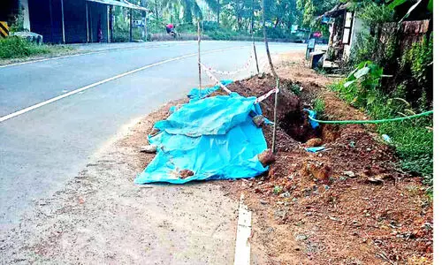 അപകടമൊഴിയാതെ കണിയാർവയൽ കാഞ്ഞിലേരി റോഡ് അപകടമൊഴിയാതെ കണിയാർവയൽ കാഞ്ഞിലേരി റോഡ്
