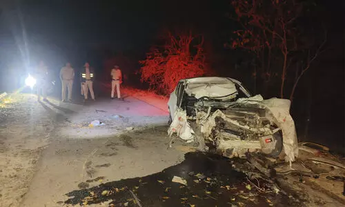 ബംഗളൂരുവിൽ കാർ മരത്തിലിടിച്ച് വിദ്യാർഥിയടക്കം രണ്ടു മലയാളികൾ മരിച്ചു