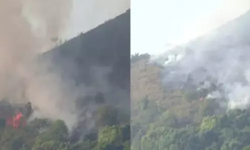 വയനാട്ടിൽ കാടിന് തീയിട്ടയാൾ പിടിയിൽ; കത്തിനശിച്ചത് 10 ഹെക്ടറിലധികം പുൽമേട്