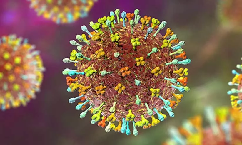 നിപ: ജാഗ്രത പുലർത്താൻ  വയനാടിനോട് നിർദേശം