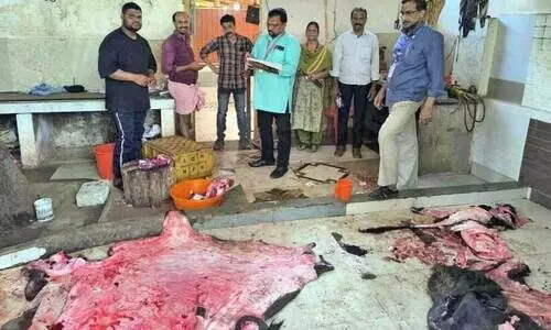 ഹെൽത്തി കേരള പരിശോധന; ബീഫ് സ്റ്റാൾ അടച്ചുപൂട്ടാൻ ഉത്തരവ്