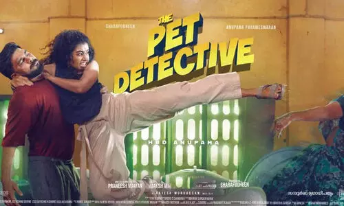 The Pet Detective