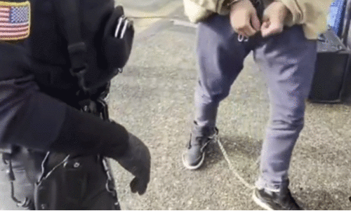 അനധികൃത കുടിയേറ്റക്കാരെ ചങ്ങലയണിയിക്കുന്ന ദൃശ്യങ്ങൾ പുറത്തുവിട്ട് വൈറ്റ്ഹൗസ്; ഹ.ഹ. വൗ. എന്ന് ഇലോൺ മസ്‌ക്