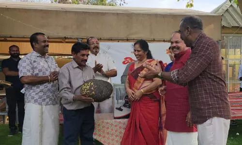 വേണേൽ ചക്ക, ലേലത്തിൽ ഒന്നേകാൽ ലക്ഷത്തിനും പോകും !