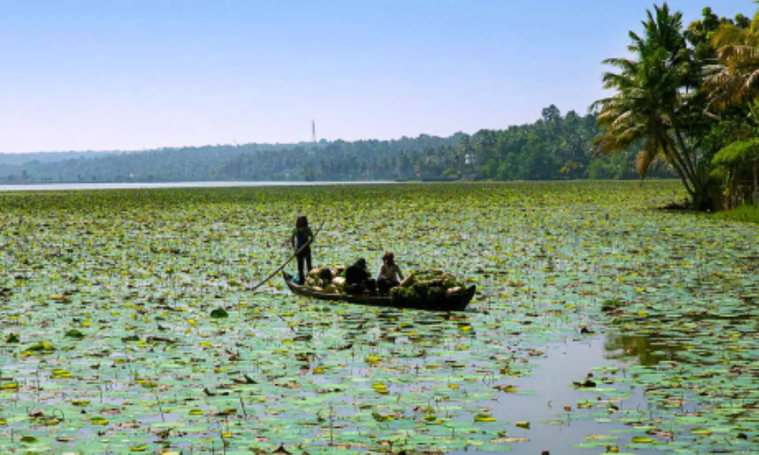 വെള്ളായണി കായൽ: അതിർത്തിനിർണയം ഉടൻ പൂർത്തിയാക്കണമെന്ന്​ ഹൈകോടതി