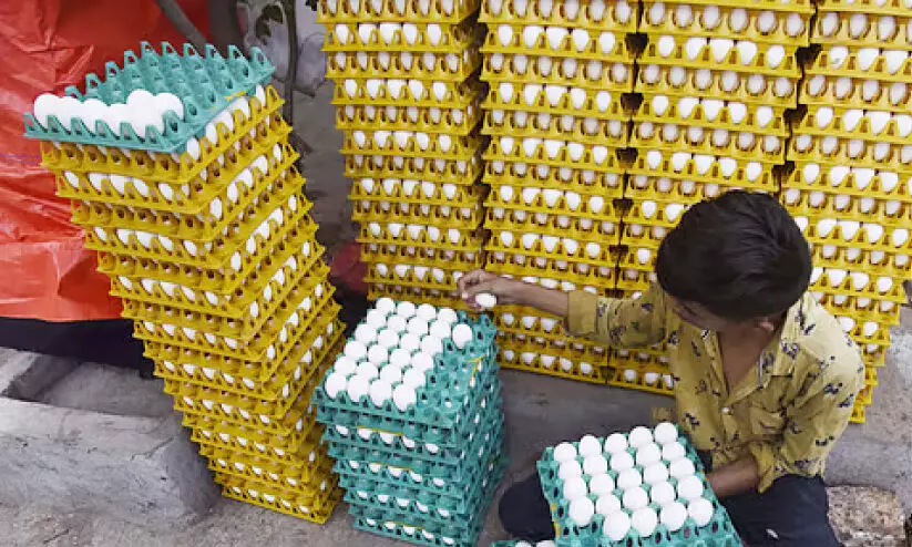 പ​ക്ഷി​പ്പ​നി: കോ​ഴി, മു​ട്ട ഇ​റ​ക്കു​മ​തി നി​രോ​ധി​ച്ച് ക​ർ​ണാ​ട​ക