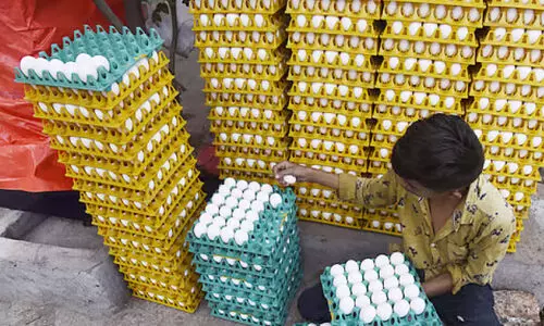 പ​ക്ഷി​പ്പ​നി: കോ​ഴി, മു​ട്ട ഇ​റ​ക്കു​മ​തി നി​രോ​ധി​ച്ച് ക​ർ​ണാ​ട​ക