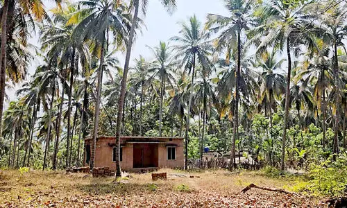 ചോ​ക്കാ​ട് സൊ​സൈ​റ്റി ഭൂ​മി​ക്ക് നി​കു​തി കു​ടി​ശ്ശി​ക; ജ​പ്തി ഭീ​ഷ​ണി