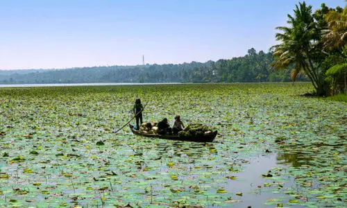 വെള്ളായണി കായൽ: അതിർത്തിനിർണയം ഉടൻ പൂർത്തിയാക്കണമെന്ന്​ ഹൈകോടതി
