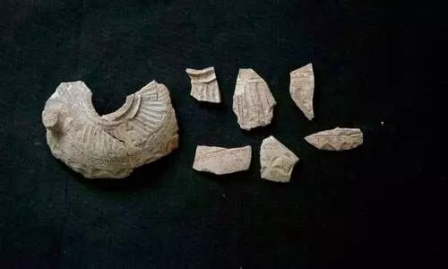 ഫൈ​ല​ക ദ്വീ​പി​ൽ 2300 വ​ർ​ഷം പ​ഴ​ക്ക​മു​ള്ള കൊ​ട്ടാ​രാ​വ​ശി​ഷ്ടം ക​ണ്ടെ​ത്തി