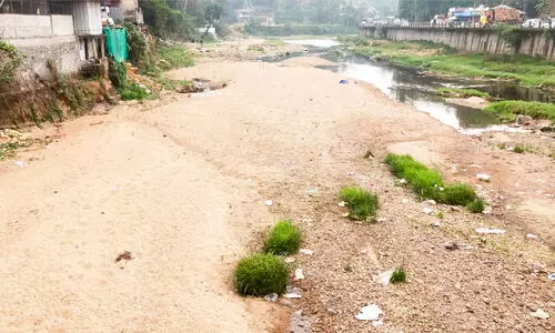 കടുത്ത വേനലിൽ താളം മുറിഞ്ഞ് കോട്ടയത്തെ ജല സ്രോതസ്സുകൾ