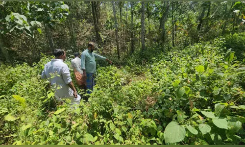 കടുവയും പുലിയും ഇറങ്ങിയെന്ന്  സംശയം; സ്ഥിരീകരിക്കാനാകാതെ വനംവകുപ്പ്
