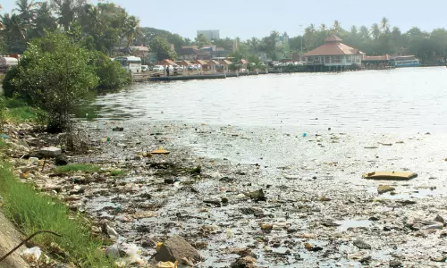 അഷ്ടമുടി കായൽ സംരക്ഷണം; നടപടി വൈകുന്നതിൽ ഹൈകോടതിക്ക്​ അതൃപ്തി