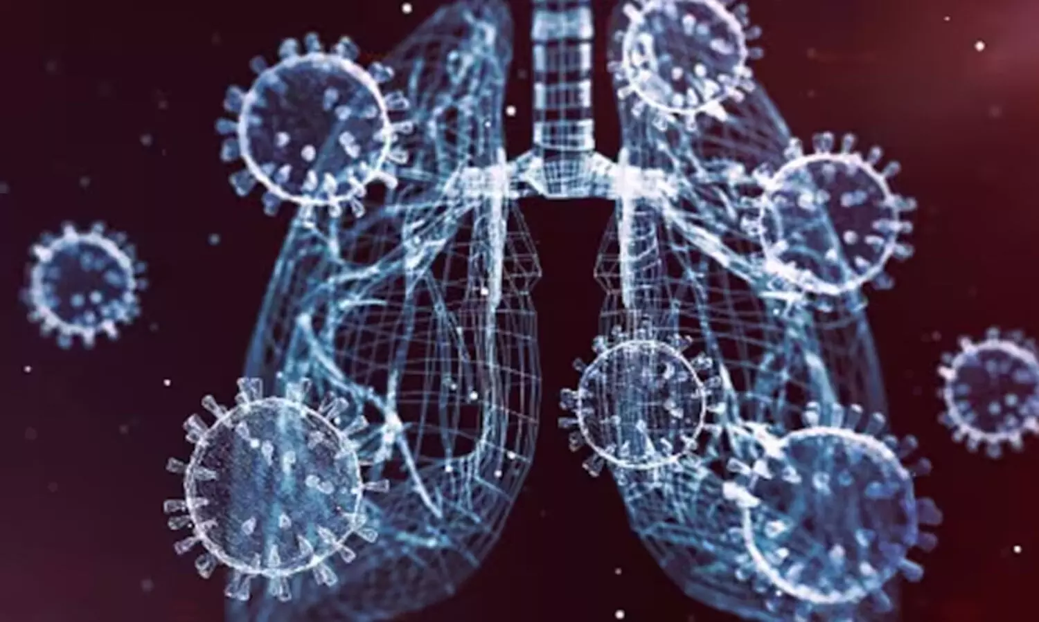 China discovers new bat coronavirus capable of infecting humans