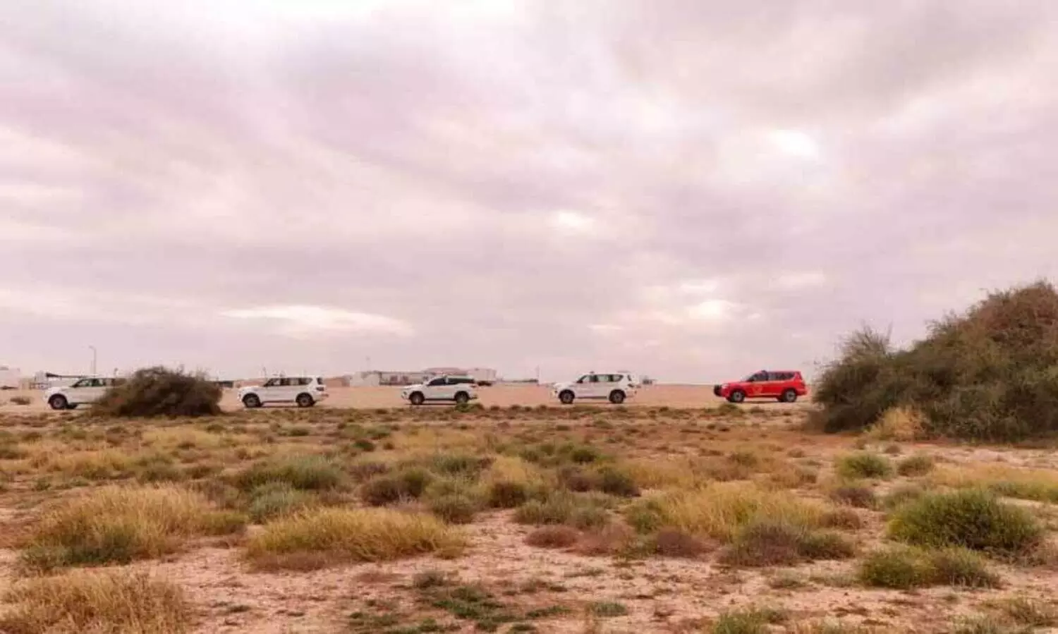 പു​ൽ​മേ​ടു​ക​ൾ സം​ര​ക്ഷി​ക്ക​ൽ; പ​രി​ശോ​ധ​ന കാ​മ്പ​യി​നു​മാ​യി പ​രി​സ്ഥി​തി    കാ​ലാ​വ​സ്ഥ വ്യ​തി​യാ​ന മ​ന്ത്രാ​ല​യം