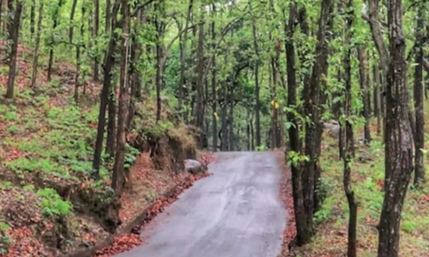 ഉത്തരാഖണ്ഡിൽ വനസംരക്ഷണത്തിനുള്ള ഫണ്ട് ഉപയോഗിച്ചത് ഐഫോൺ വാങ്ങാൻ; അഴിമതിയെന്ന് സി.എ.ജി
