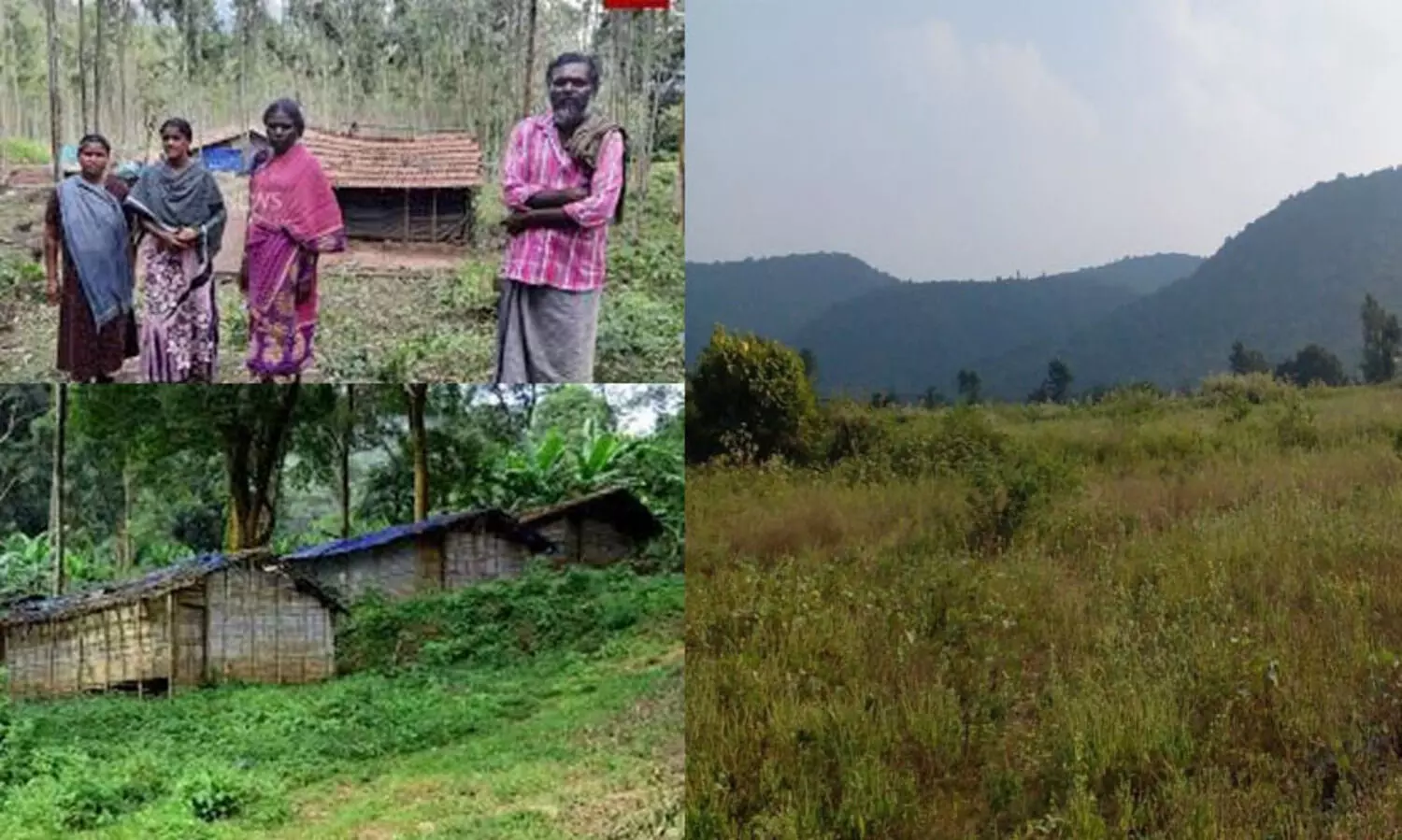 അട്ടപ്പാടി: ചീഫ് സെക്രട്ടറി റിപ്പോർട്ട് ആവശ്യപ്പെട്ടിട്ട് ഒരു വർഷം