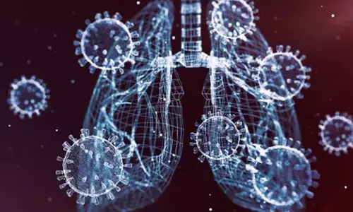 China discovers new bat coronavirus capable of infecting humans