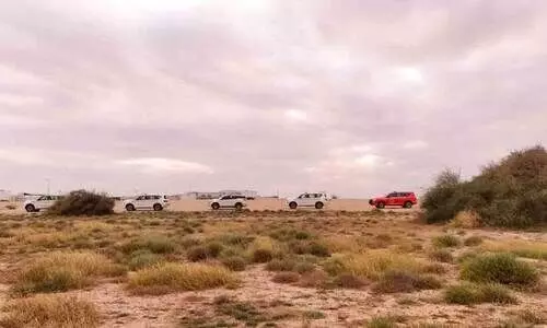 പു​ൽ​മേ​ടു​ക​ൾ സം​ര​ക്ഷി​ക്ക​ൽ; പ​രി​ശോ​ധ​ന കാ​മ്പ​യി​നു​മാ​യി പ​രി​സ്ഥി​തി    കാ​ലാ​വ​സ്ഥ വ്യ​തി​യാ​ന മ​ന്ത്രാ​ല​യം