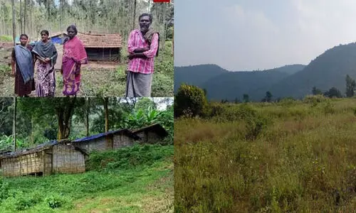 അട്ടപ്പാടി: ചീഫ് സെക്രട്ടറി റിപ്പോർട്ട് ആവശ്യപ്പെട്ടിട്ട് ഒരു വർഷം