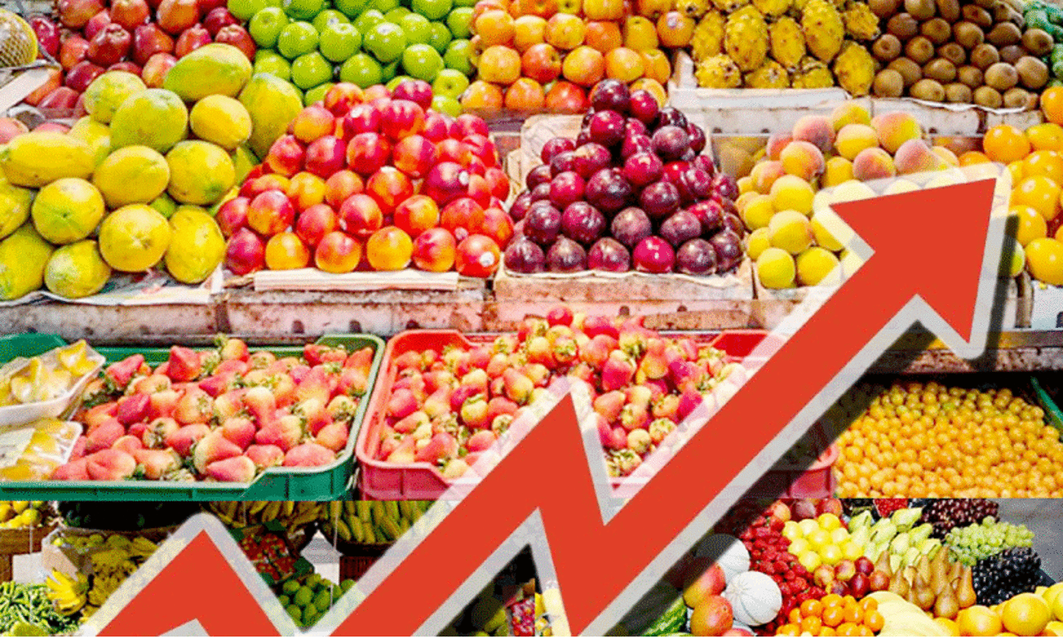 വേനലിനൊപ്പം നോമ്പുകാലവും;  പഴവിപണിയിൽ ചൂടേറുന്നു