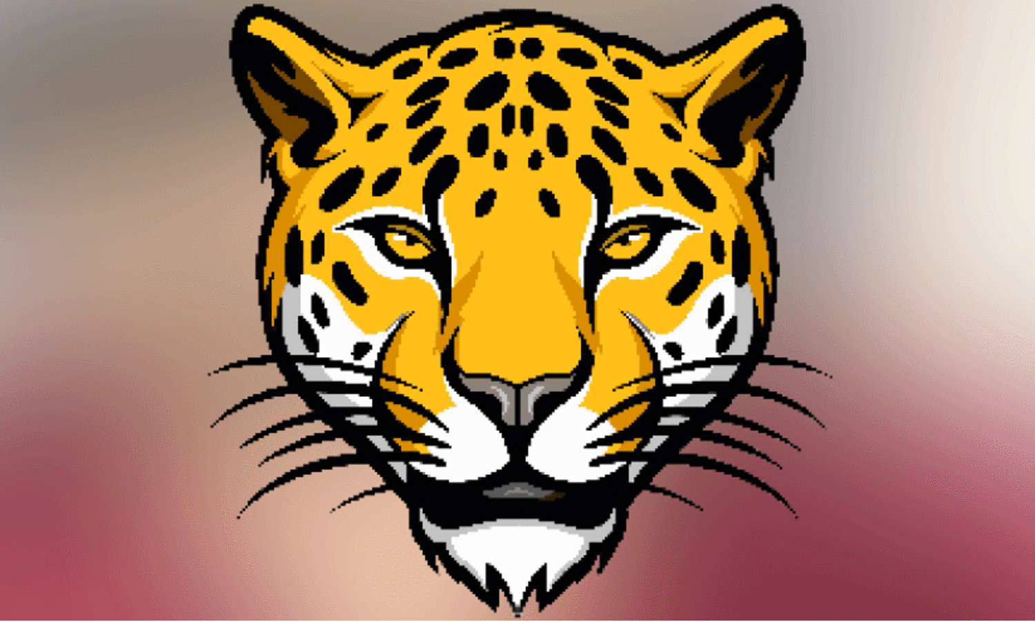 വീ​ഴ്മ​ല​യി​ൽ പു​ലി സാ​ന്നി​ധ്യം ക​ണ്ടെ​ത്തി​യി​ല്ല; നി​രീ​ക്ഷ​ണം തു​ട​രു​ന്നു