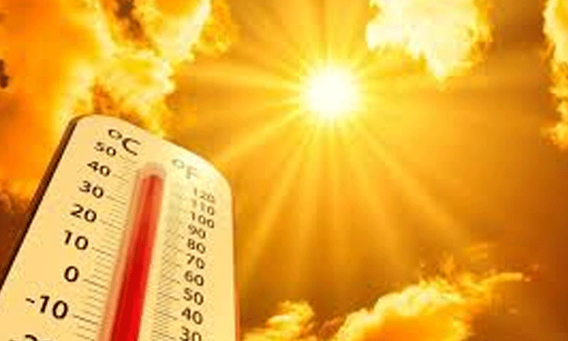 ചൂ​ട് കൂ​ടു​ന്നു; പ​ഴ​ങ്ങ​ൾ​ക്ക് പൊ​ള്ളു​ന്ന വി​ല