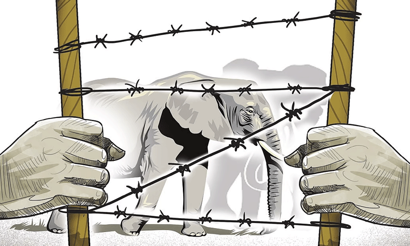 മ​ല​യോ​ര മേ​ഖ​ല​യി​ലെ വ​ന്യ​ജീ​വി ശ​ല്യം; പ്ര​ത്യേ​ക യോ​ഗം വി​ളി​ക്കാ​ന്‍ തീ​രു​മാ​നം