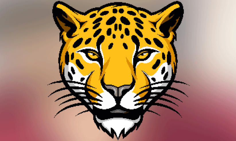 വീ​ഴ്മ​ല​യി​ൽ പു​ലി സാ​ന്നി​ധ്യം ക​ണ്ടെ​ത്തി​യി​ല്ല; നി​രീ​ക്ഷ​ണം തു​ട​രു​ന്നു