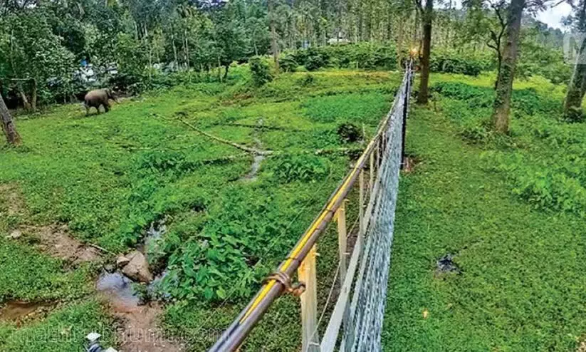 വനംവകുപ്പിന്റെ പുതിയ കരാർ സമ്പ്രദായം: ആദിവാസി പങ്കാളിത്തം കുറച്ചുവെന്ന് റിപ്പോർട്ട് വനംവകുപ്പിന്റെ പുതിയ കരാർ സമ്പ്രദായം: ആദിവാസി പങ്കാളിത്തം കുറച്ചുവെന്ന് റിപ്പോർട്ട്