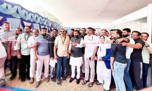 തൊ​ഴി​ല​ന്വേ​ഷ​ക​ർ​ക്ക് സ​ഹാ​യ​ക​മാ​യി തൊ​ഴി​ൽ​മേ​ള