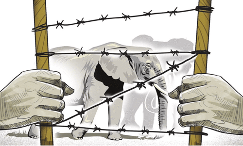 മ​ല​യോ​ര മേ​ഖ​ല​യി​ലെ വ​ന്യ​ജീ​വി ശ​ല്യം; പ്ര​ത്യേ​ക യോ​ഗം വി​ളി​ക്കാ​ന്‍ തീ​രു​മാ​നം