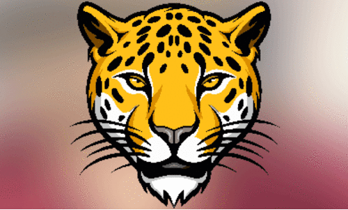 വീ​ഴ്മ​ല​യി​ൽ പു​ലി സാ​ന്നി​ധ്യം ക​ണ്ടെ​ത്തി​യി​ല്ല; നി​രീ​ക്ഷ​ണം തു​ട​രു​ന്നു