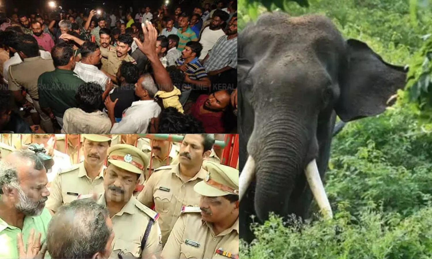 കാട്ടാന ആക്രമണം: ആറളത്ത് ആളിക്കത്തി പ്രതിഷേധം