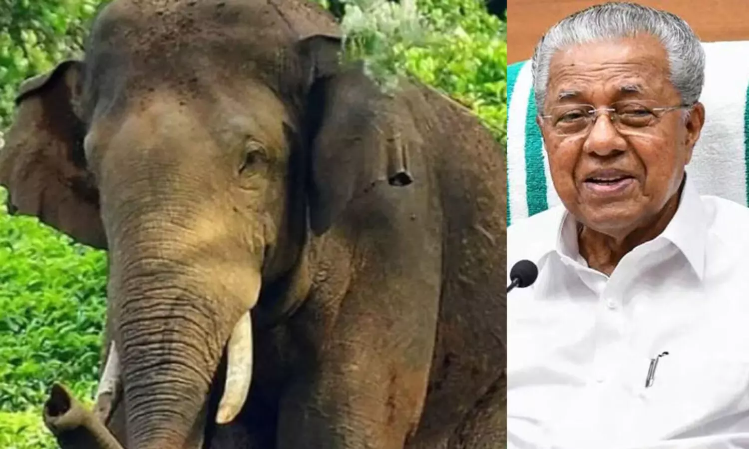 മനുഷ്യ- വന്യജീവി സംഘർഷം: മുഖ്യമന്ത്രി ഉന്നതതല യോഗം വിളിച്ചു