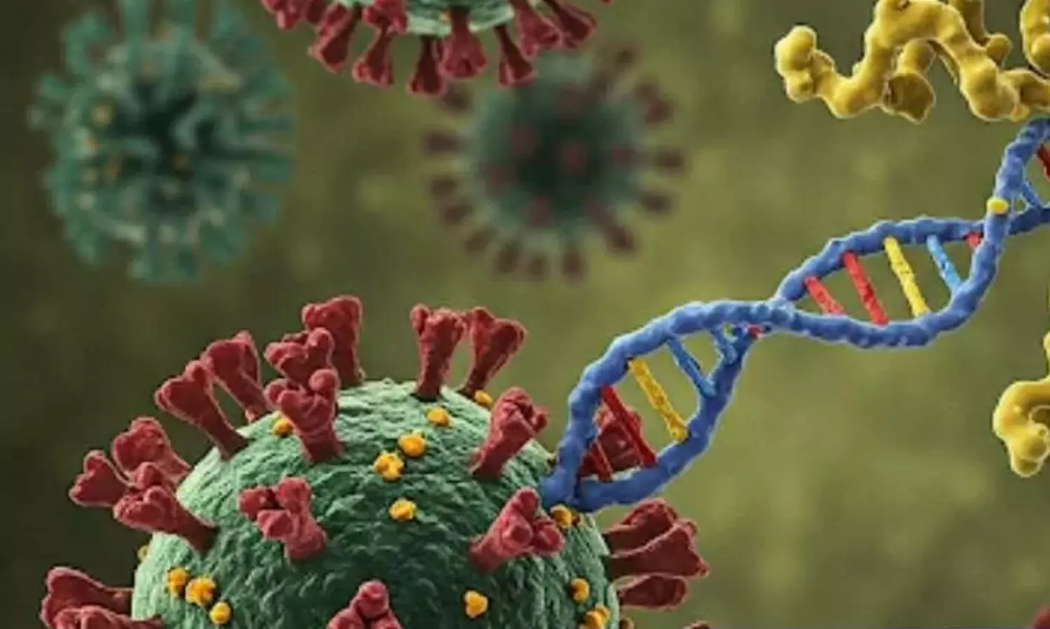 വവ്വാലിൽ പുതിയ വൈറസ് കണ്ടെത്തി ചൈനീസ് ഗവേഷകർ; മൃഗങ്ങളിൽനിന്ന് മനുഷ്യരിലേക്ക് പകരാൻ സാധ്യത