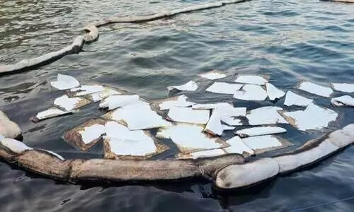 ക​ട​ലി​ല്‍ എ​ണ്ണ ചോ​ര്‍ച്ച;​ ന​ട​പ​ടി സ്വീ​ക​രി​ച്ചു