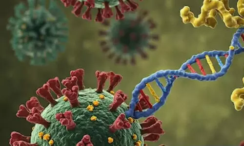 വവ്വാലിൽ പുതിയ വൈറസ് കണ്ടെത്തി ചൈനീസ് ഗവേഷകർ; മൃഗങ്ങളിൽനിന്ന് മനുഷ്യരിലേക്ക് പകരാൻ സാധ്യത