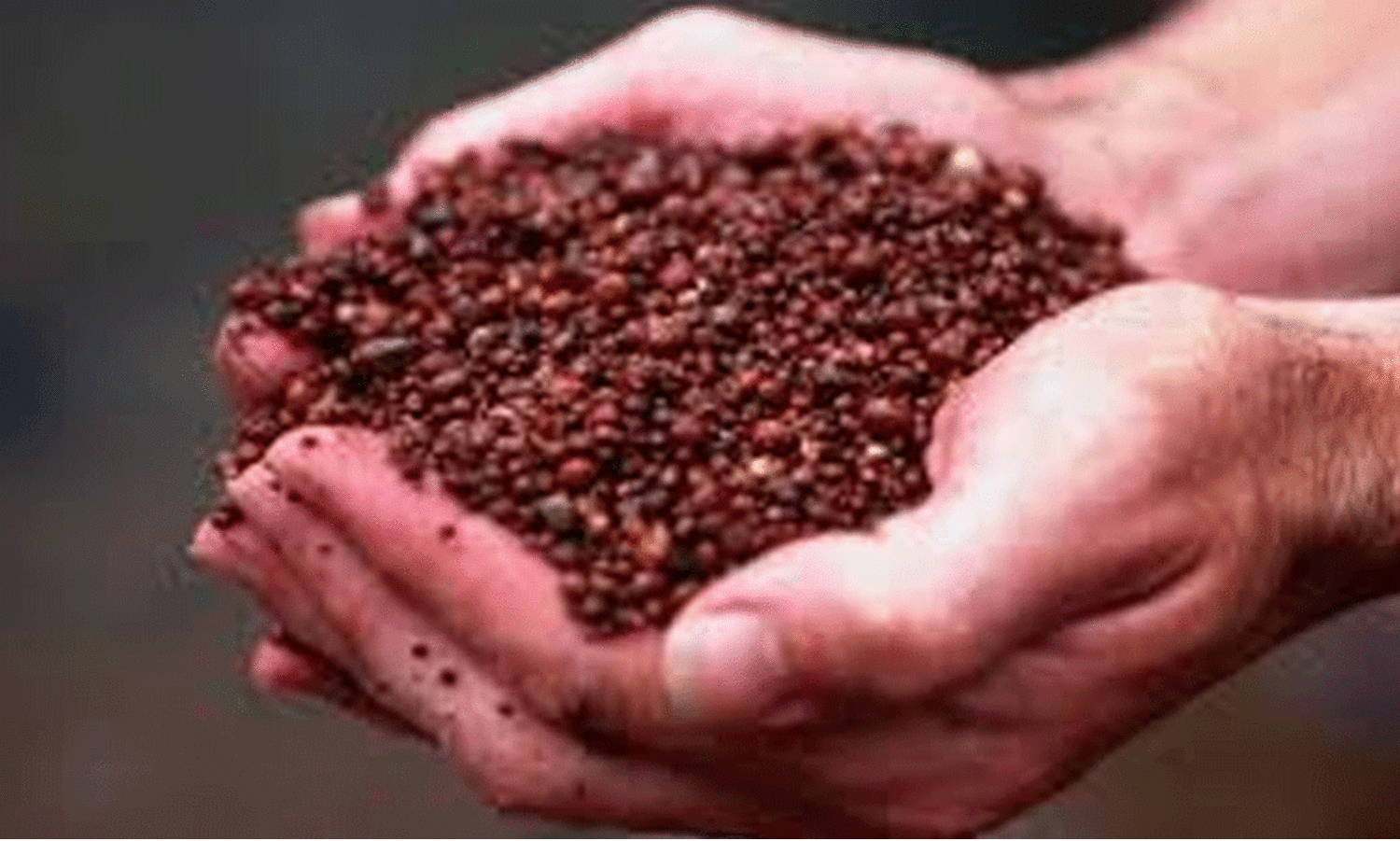 കാ​സ​ർ​കോ​ട്​ ബോ​ക്​​സൈ​റ്റ് നി​ക്ഷേ​പം: പ​രി​ശോ​ധ​ന തു​ട​ങ്ങി