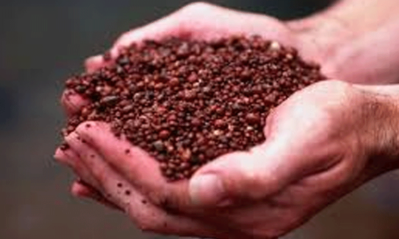 കാ​സ​ർ​കോ​ട്​ ബോ​ക്​​സൈ​റ്റ് നി​ക്ഷേ​പം: പ​രി​ശോ​ധ​ന തു​ട​ങ്ങി