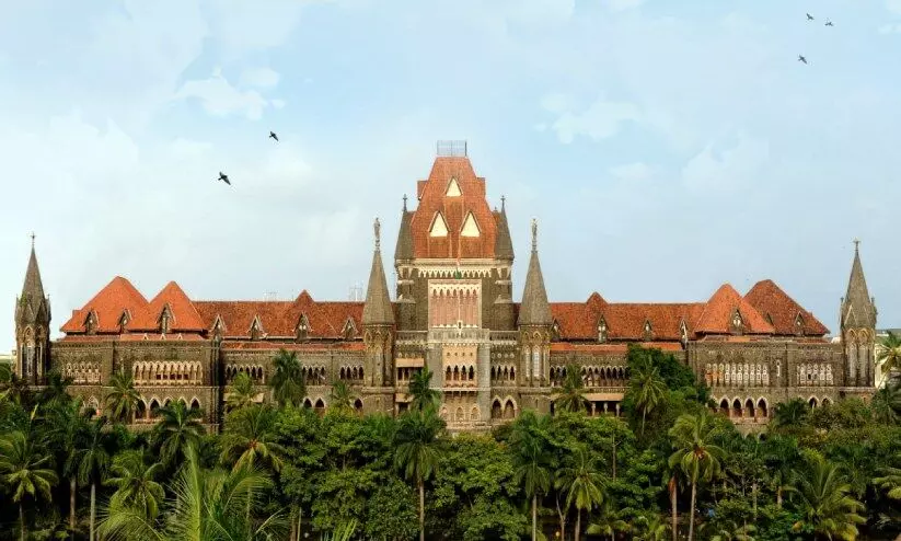 ‘സ്വന്തം കുഞ്ഞിനെ അമ്മമാർ തല്ലില്ല’; ഏഴുവയസുകാരനെ ഉപദ്രവിച്ചെന്ന കേസിൽ യുവതിക്ക് ജാമ്യം നൽകി ബോംബെ ഹൈകോടതി