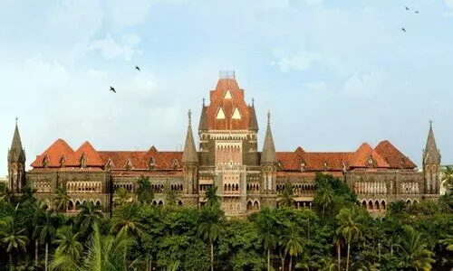 ‘സ്വന്തം കുഞ്ഞിനെ അമ്മമാർ തല്ലില്ല’; ഏഴുവയസുകാരനെ ഉപദ്രവിച്ചെന്ന കേസിൽ യുവതിക്ക് ജാമ്യം നൽകി ബോംബെ ഹൈകോടതി