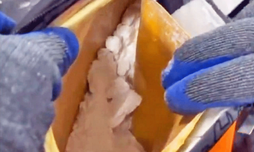 പാ​ർ​സ​ലാ​യി സ്കൂ​ൾ ബാ​ഗു​ക​ളി​ൽ ക​ട​ത്തി​യ 1,046 കി​ലോ​ഗ്രാം കൊ​ക്കെ​യ്ൻ പി​ടി​കൂ​ടി