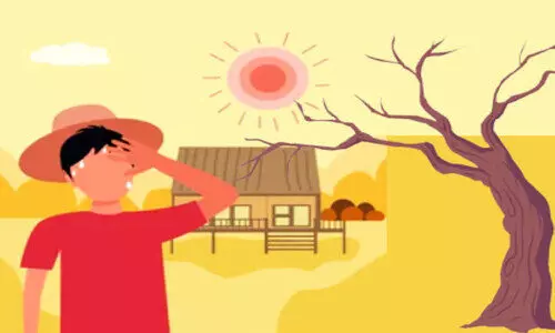 വാടിക്കരിഞ്ഞ് വിളകൾ; കൊടുംചൂടിൽ വെന്തുരുകി കർഷകർ വാടിക്കരിഞ്ഞ് വിളകൾ; കൊടുംചൂടിൽ വെന്തുരുകി കർഷകർ