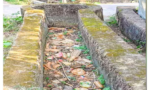 കുടിവെള്ളത്തിനായി നെട്ടോട്ടം; കിണറുകളും കുളങ്ങളും വറ്റി