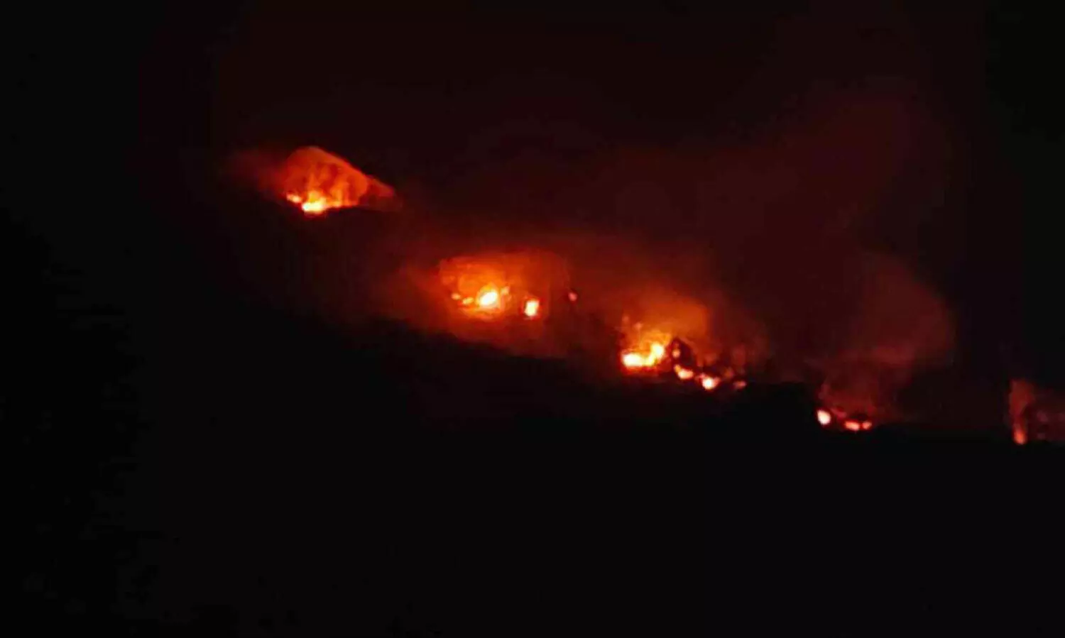 നെല്ലിയാമ്പതി മലനിരകളിൽ പടർന്ന തീ അണഞ്ഞില്ല