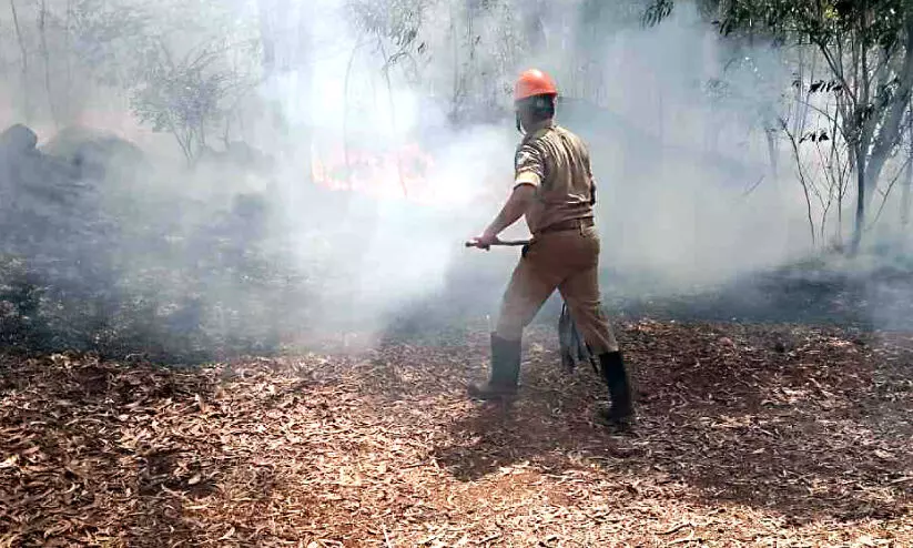 മഞ്ഞംപൊതിക്കുന്നിൽ തീപിടിത്തം; ഒരേക്കറോളം കത്തിനശിച്ചു