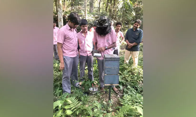 തേൻ കൃഷിയിലും വിജയഗാഥ രചിച്ച് വിദ്യാർഥികൾ